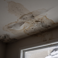 Ice dam water damage with interior mold and rot